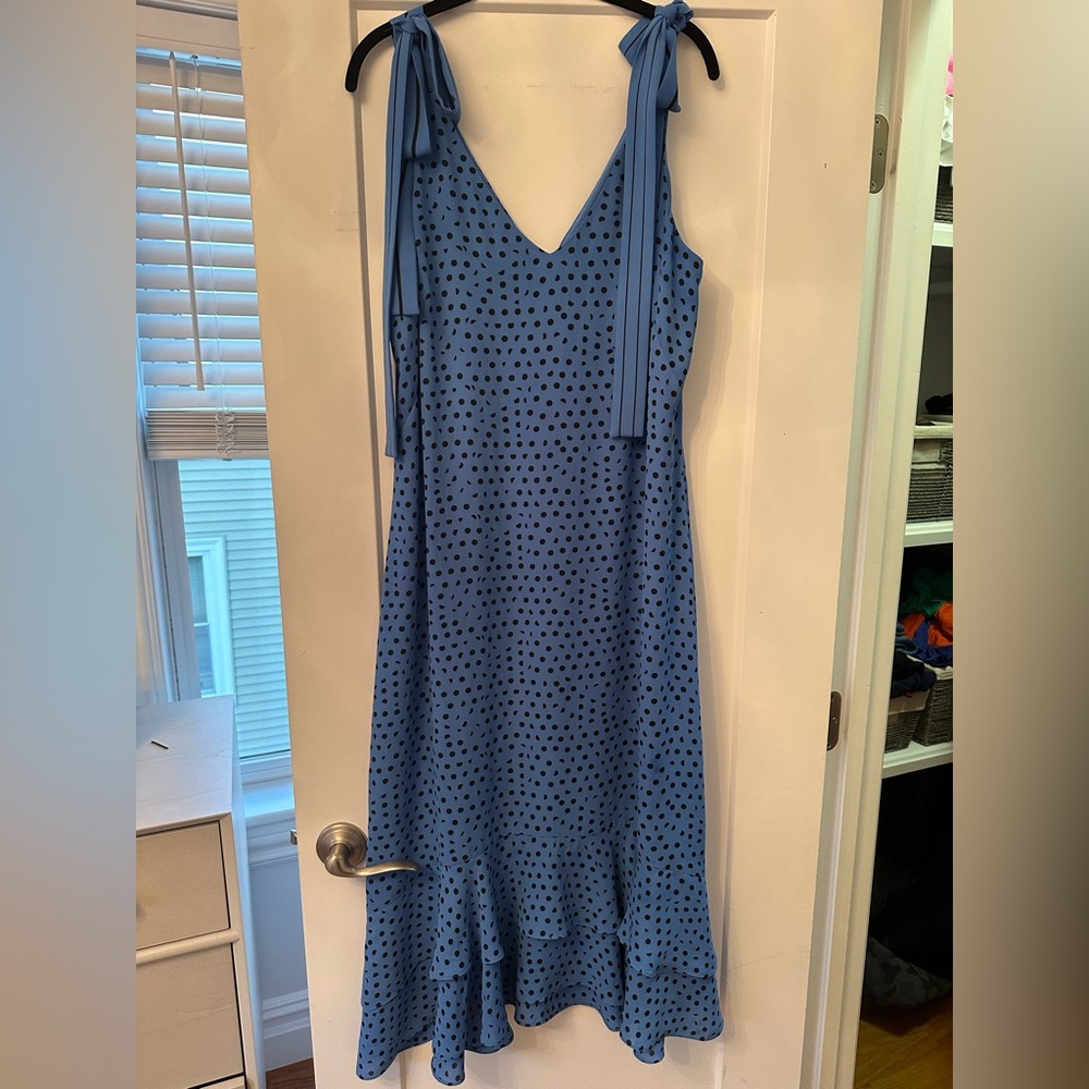 Whistle’s Dress